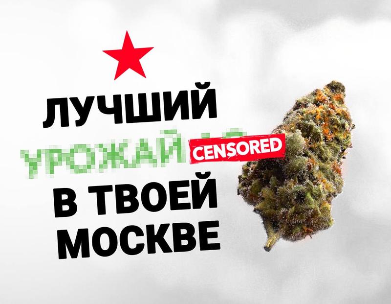 blacksprut через тор